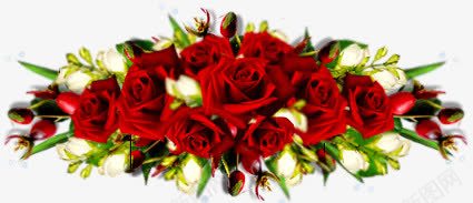 火红色玫瑰花簇png免抠素材_新图网 https://ixintu.com 分割线 火红色 玫瑰 花簇