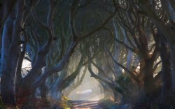 树林干枯干枯树林中的山路海报背景高清图片
