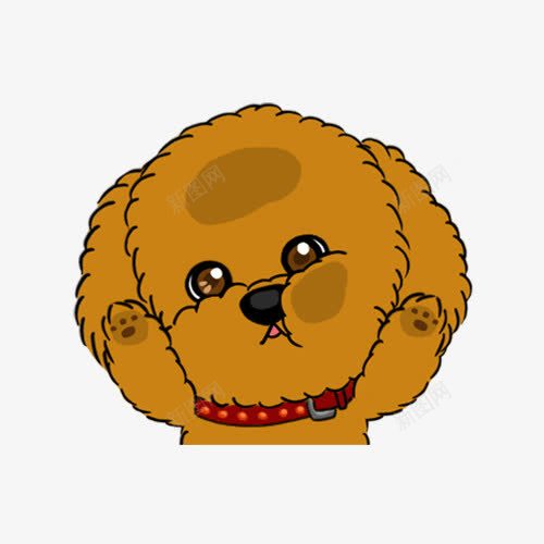 可爱泰迪png免抠素材_新图网 https://ixintu.com 动物 卡通 可爱 小狗 平面 手绘 棕色 泰迪狗
