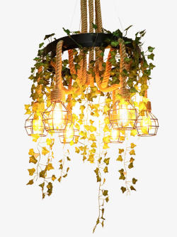 植物吊灯创意铁艺工业风鸟笼灯高清图片