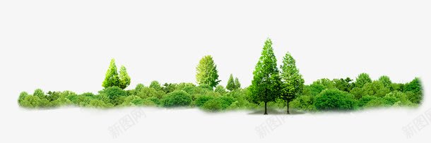 森林的一角png免抠素材_新图网 https://ixintu.com 树木 森林 植被 自然
