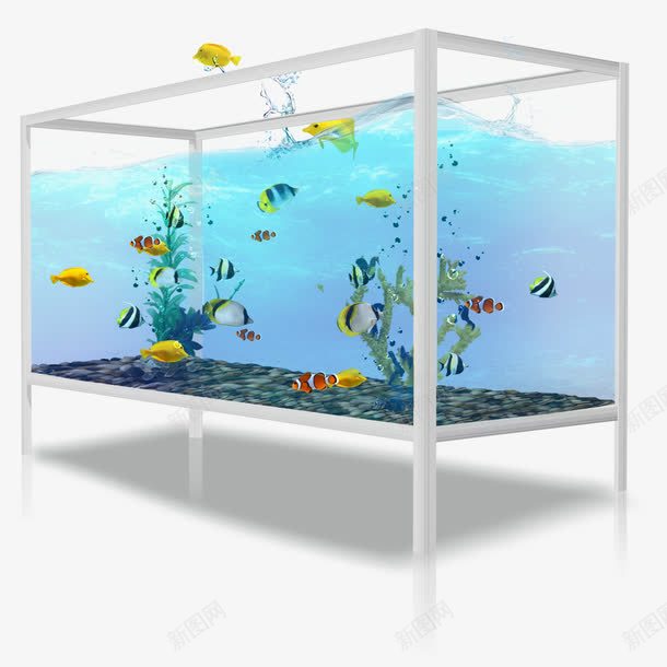 蓝色玻璃鱼缸png免抠素材_新图网 https://ixintu.com 清水 玻璃 蓝色 鱼儿 鱼缸