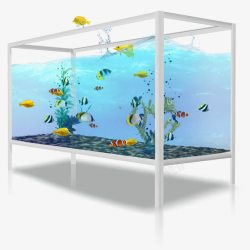 透明玻璃鱼缸蓝色玻璃鱼缸高清图片