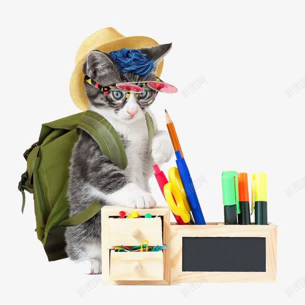勤奋好学的猫咪png免抠素材_新图网 https://ixintu.com 书包 学习 猫咪 笔