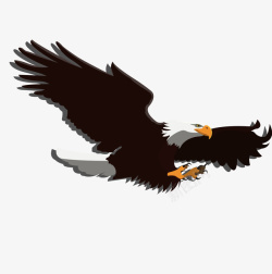 飞舞的老鹰黑色创意老鹰飞舞元素高清图片