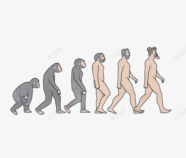 人类的进化png免抠素材_新图网 https://ixintu.com 人物 很久很久以前 手绘 新颖 素材