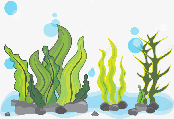 绿色彩绘海底海带矢量图eps免抠素材_新图网 https://ixintu.com 位图图形 印刷图 彩绘 手绘 手绘彩色 海带 海底 绿色 装饰图 矢量图