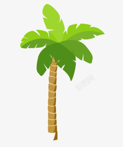 热带植物免费大叶子亚热带树木灌木树椰树矢量图高清图片