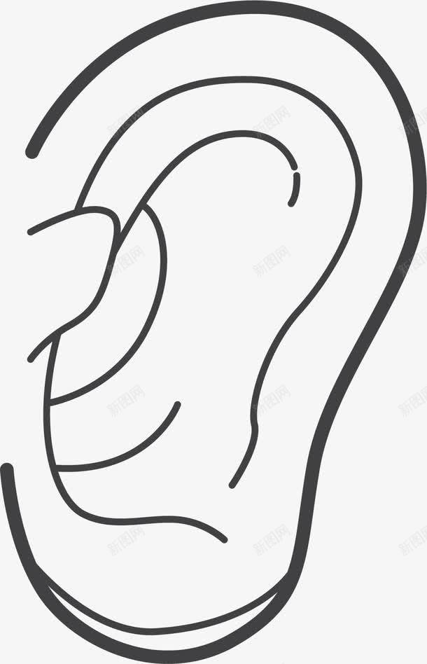 耳朵轮廓手绘图png免抠素材_新图网 https://ixintu.com 人体内脏 人体耳朵 内脏 器官 手绘器官 手绘轮廓 耳朵
