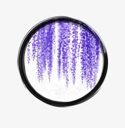 下垂镜花水月中的紫藤高清图片