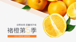 橙子banner素材