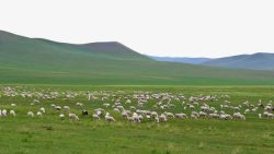 内蒙古包旅游克什克腾大草原旅游高清图片