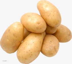 黄色土豆新晋主粮之土豆高清图片