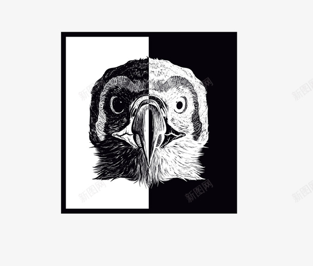 黑白胸前印花图案矢量图图标ai_新图网 https://ixintu.com T恤 logo 动物 印花 对半 服装设计 精美 精良 老鹰 设计感 黑白 矢量图