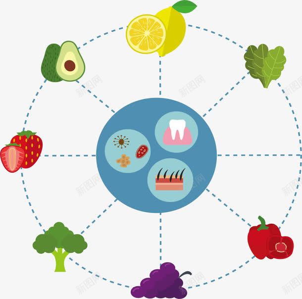 对身体有益的维生素png免抠素材_新图网 https://ixintu.com 有益健康 维生素 膳食纤维 食物图表