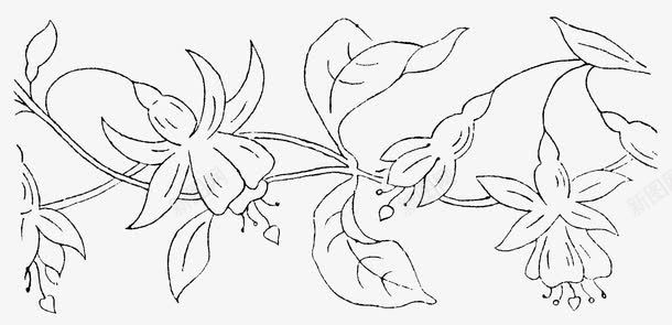 手绘的树叶和花朵图标图标