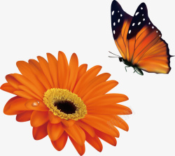 鲜花和蝴蝶矢量图素材