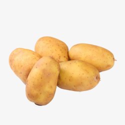 黄色土豆土豆高清图片