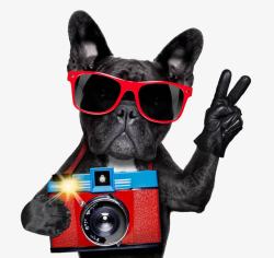 时尚插图相机聚焦卡通照相的小狗图高清图片