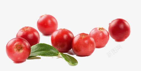红色蔓越莓果子png免抠素材_新图网 https://ixintu.com 产品实图 果子 红色 蔓越莓