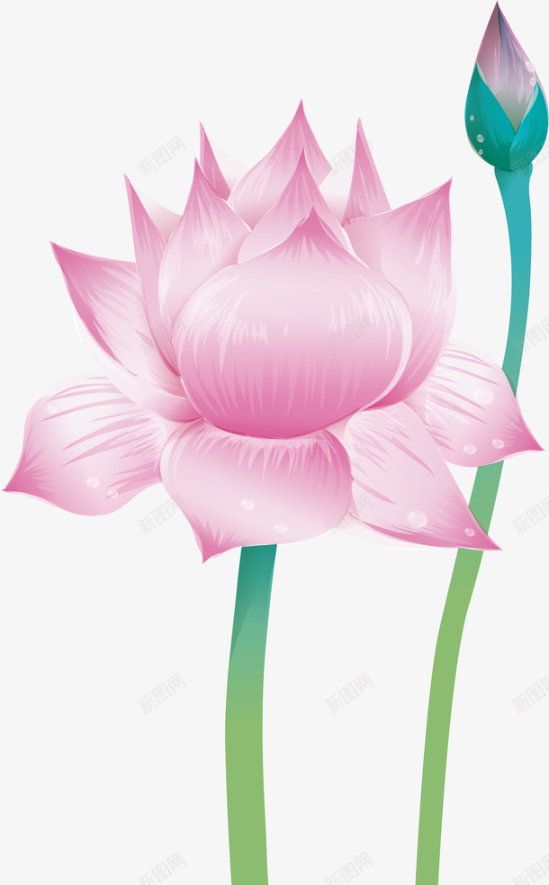 粉色荷花创意png免抠素材_新图网 https://ixintu.com 叶子 四季花 矢量花朵 美丽花朵 花 花朵 花朵图 花朵植物 花瓣 荷花 鲜艳花朵 鲜花