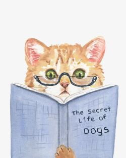 拟人猫咪看书的猫高清图片