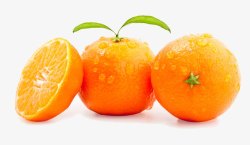 橙子上水珠水果橙子高清图片