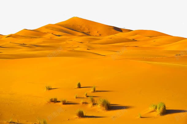 非洲旅游撒哈拉沙漠png免抠素材_新图网 https://ixintu.com 撒哈拉沙漠 旅游景区 著名景点 非洲撒哈拉沙漠 非洲旅游
