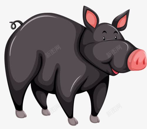 黑猪png免抠素材_新图网 https://ixintu.com 动物猪 卡通猪 家畜 生肖