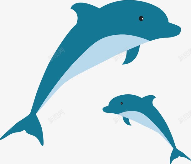 海豚表演png免抠素材_新图网 https://ixintu.com 两只海豚 小海豚 海豚表扬 矢量素材 蓝色