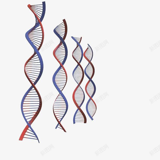 四条DNA分子png免抠素材_新图网 https://ixintu.com 两色 分子 四条 旋转