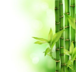 水竹竹子背景高清图片
