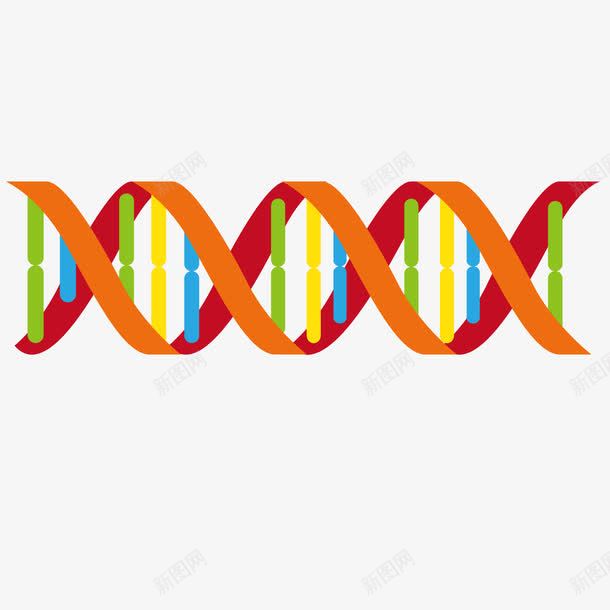 彩色dna双螺旋结构png免抠素材_新图网 https://ixintu.com DNA双螺旋 dna 双螺旋 彩色 结构