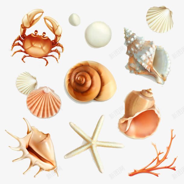 3D卡通海货png免抠素材_新图网 https://ixintu.com 3D卡通 海螺 螃蟹 贝壳