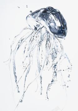 水做合成透明水母高清图片
