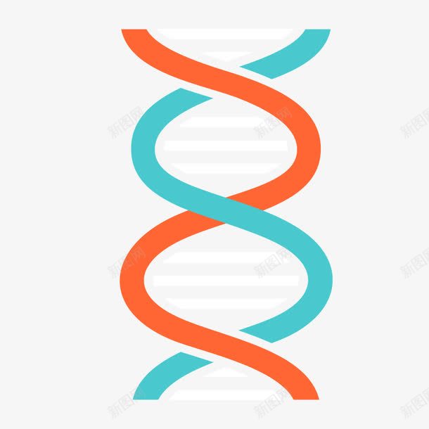 螺旋结构png免抠素材_新图网 https://ixintu.com DNA 分子结构 生物 研究 科学