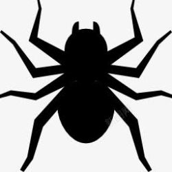 黑白蜘蛛蜘蛛黑白万圣节图标高清图片