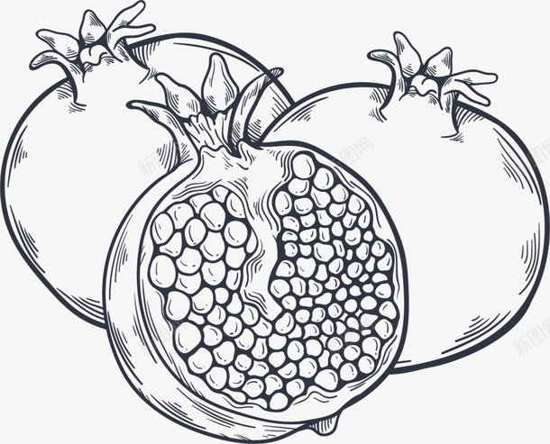 夏季水果手绘石榴png免抠素材_新图网 https://ixintu.com 几个石榴 夏季水果 夏日水果 手绘石榴 画画 绘画