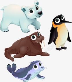 南极海豹寒冷地区动物高清图片