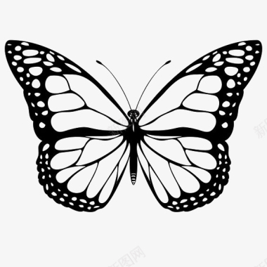 文字装饰图案黑色镂空蝴蝶装饰图案图标图标