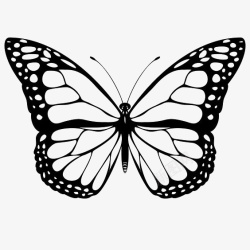 黑色镂空蝴蝶装饰图案图标图标