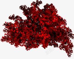 红色灌木丛素材