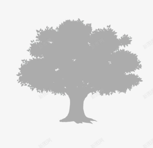 树木专辑png免抠素材_新图网 https://ixintu.com 树叶阴影 树影 树木 树木专辑