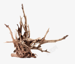 一个褐色枯树根雕作品素材