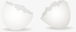 空蛋壳破碎的鸡蛋壳高清图片