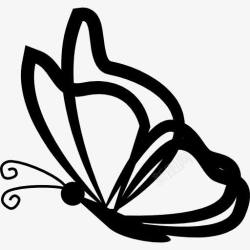 大纲视图蝴蝶透明的翅膀从侧面轮廓图标高清图片