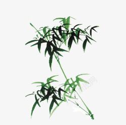 彩绘植物竹子水墨竹子素材