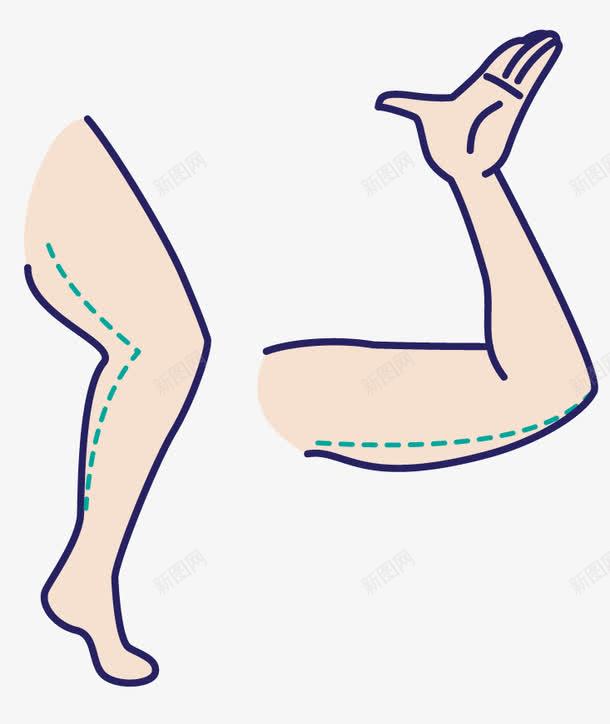 人体局部腿胳膊png免抠素材_新图网 https://ixintu.com 人体 四肢 局部 手臂 胳膊 腿