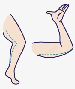 人体局部腿胳膊素材