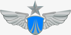 空军军衔庄严肃立的空军标志高清图片